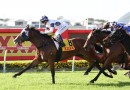 Flying Destiny ready to fire fresh at Eagle Farm