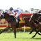 Flying Destiny ready to fire fresh at Eagle Farm