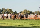 Kalgoorlie Cup shapes as a two-horse race