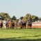Kalgoorlie Cup shapes as a two-horse race