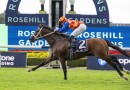 Autumn Boy heads odds in wide open Epsom Handicap field