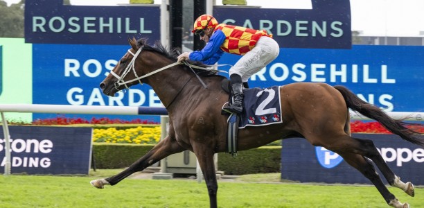 Autumn Boy heads odds in wide open Epsom Handicap field