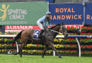 Sienna Grima lands fairytale G1 Epsom Handicap win aboard God’s Window