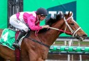 Turnbull win a Cox Plate tune up for Cosmic Crusader