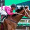 Turnbull win a Cox Plate tune up for Cosmic Crusader