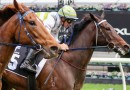 Jockeys fined over bizarre Gilgai Stakes finish