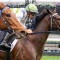 Jockeys fined over bizarre Gilgai Stakes finish