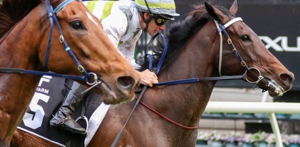 Jockeys fined over bizarre Gilgai Stakes finish