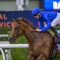 Can Tempted beat Ka Ying Rising in The Everest?