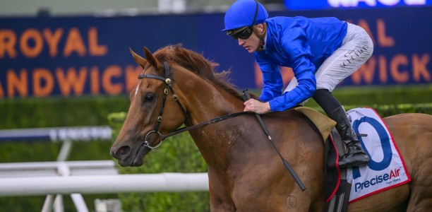 Can Tempted beat Ka Ying Rising in The Everest?