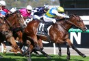 Toorak Handicap shot for Welcometotheshow