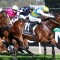 Toorak Handicap shot for Welcometotheshow