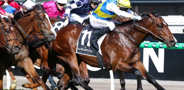 Toorak Handicap shot for Welcometotheshow