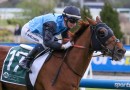 New jockey for Caulfield Cup, Melbourne Cup hero