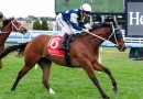 Birdman ready for Sheza Alibi clash