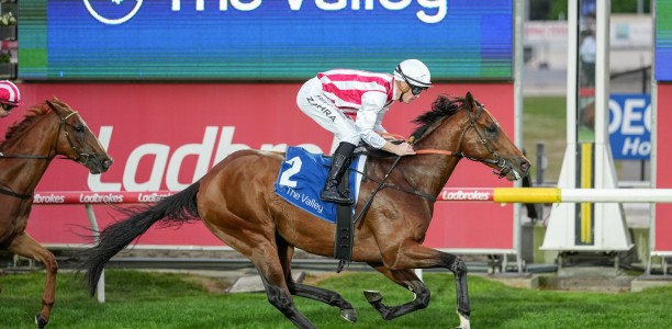 Draw aligns well for Caulfield Guineas prospect