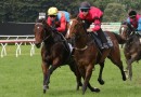 Ka Ying Rising ready for The Everest despite shock trial defeat