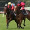 Ka Ying Rising ready for The Everest despite shock trial defeat