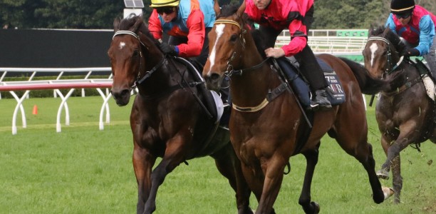 Ka Ying Rising ready for The Everest despite shock trial defeat