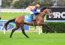 Waller team well prepared for Caulfield Guineas