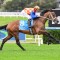 Waller team well prepared for Caulfield Guineas