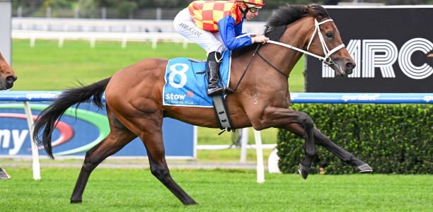 Waller team well prepared for Caulfield Guineas