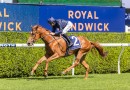 Love Story too swift for Kensington rivals