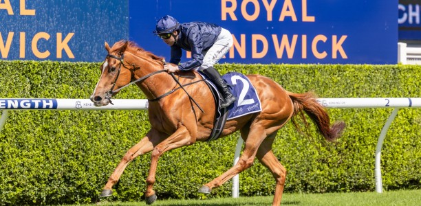 Love Story too swift for Kensington rivals
