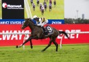 King Pedro has steep Hill to climb on return