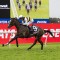 King Pedro has steep Hill to climb on return