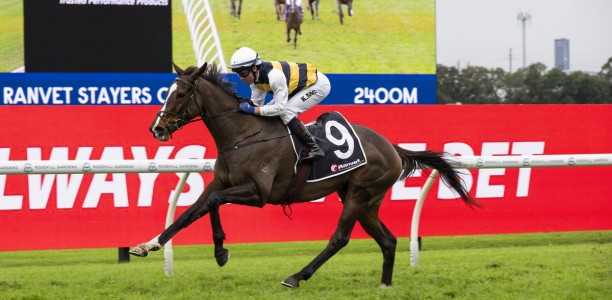 King Pedro has steep Hill to climb on return