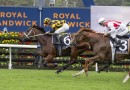 Joliestar locked in for third consecutive Everest tilt