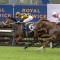 Joliestar locked in for third consecutive Everest tilt