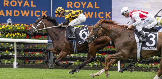 Joliestar locked in for third consecutive Everest tilt