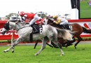 Big Dance ambitions fuel competitive Port Macquarie Cup clash