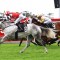 Big Dance ambitions fuel competitive Port Macquarie Cup clash