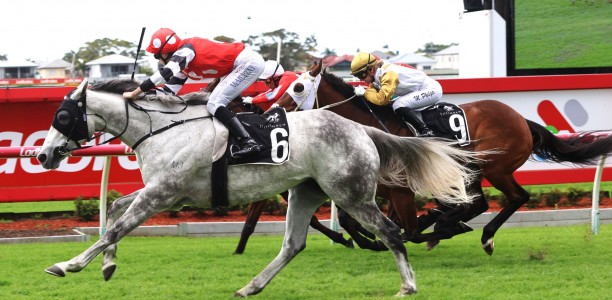 Big Dance ambitions fuel competitive Port Macquarie Cup clash
