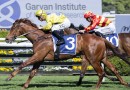 General drawn to Salute again at home track