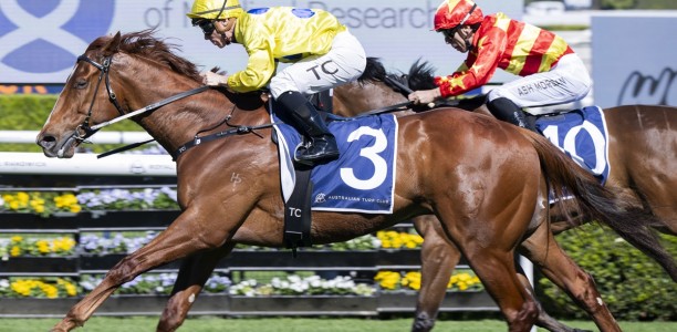 General drawn to Salute again at home track