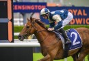 Jimmysstar secures TAB slot for The Everest 2026