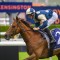Jimmysstar secures TAB slot for The Everest 2026