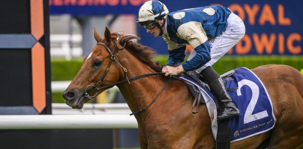 Jimmysstar secures TAB slot for The Everest 2026
