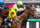 Melbourne Cup winner Knight’s Choice to bounce back in Herbert Power Stakes