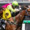 Melbourne Cup winner Knight’s Choice to bounce back in Herbert Power Stakes