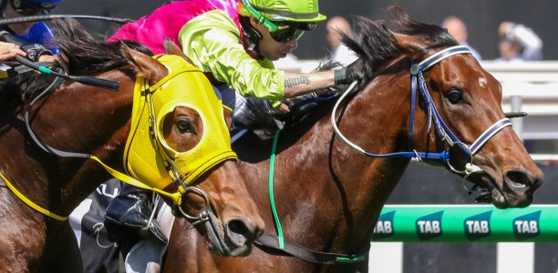 Melbourne Cup winner Knight’s Choice to bounce back in Herbert Power Stakes