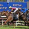 Linebacker ready to play ball in Alan Brown Stakes