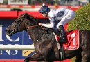 Caballus secures Everest slot as $20 million field nears completion