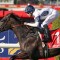 Caballus secures Everest slot as $20 million field nears completion