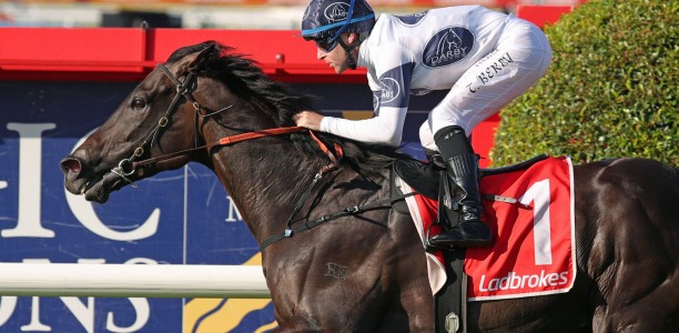 Caballus secures Everest slot as $20 million field nears completion