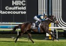 Seymour Cup 2026 – Tips, Field, Horses, Odds & $100 Betting Preview